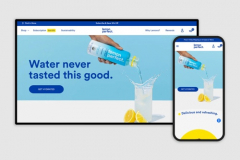 Custom Designed & Developed Store for LemonPerfect